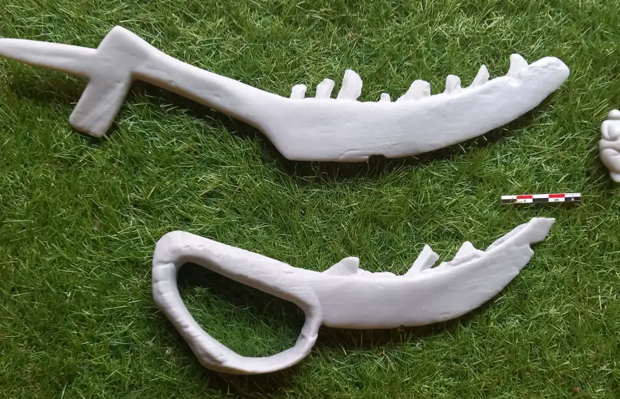 Les dues falç del 5.700 abans de Crist i la Venus neolítica mab què Remolins ha estrenat impressora arqueològica.