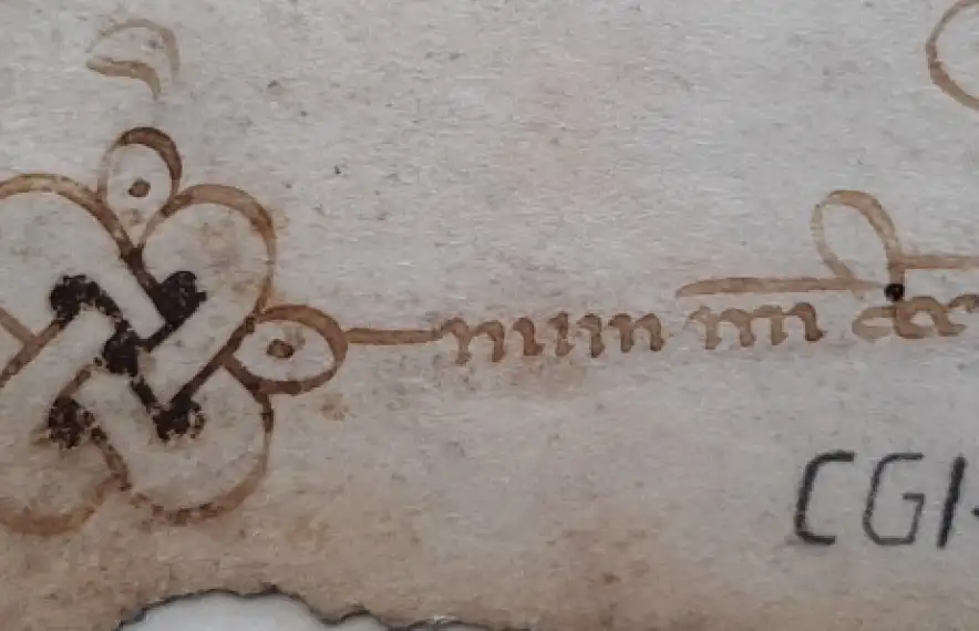 Firma del notari Arnau Babot al document emès el 20 de gener del 1336, i on consta que actua en nom de l’Infant Pere d’Aragó en lloc del comte de Foix, com era costum des del Pariatge del 1288.