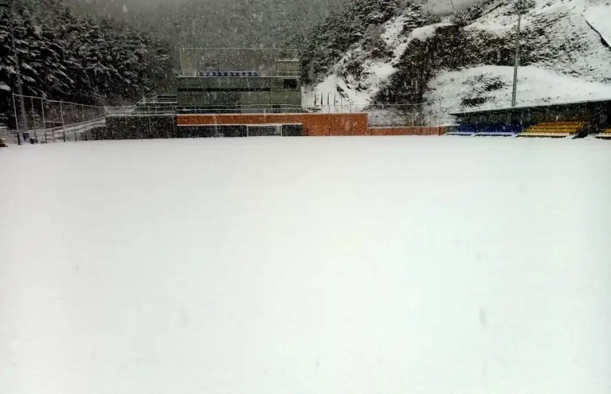 El camp de la Massana diumenge passat.