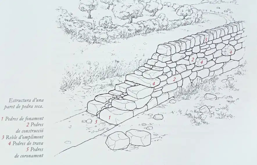Utilíssimes il·lustracions que acompanyen el text i que ensenyen el que s’ha de fer i el que no quan ens dona per aixecar un mur de pedra seca. Un metre lineal consumeix una tona de pedra, aproximadament.