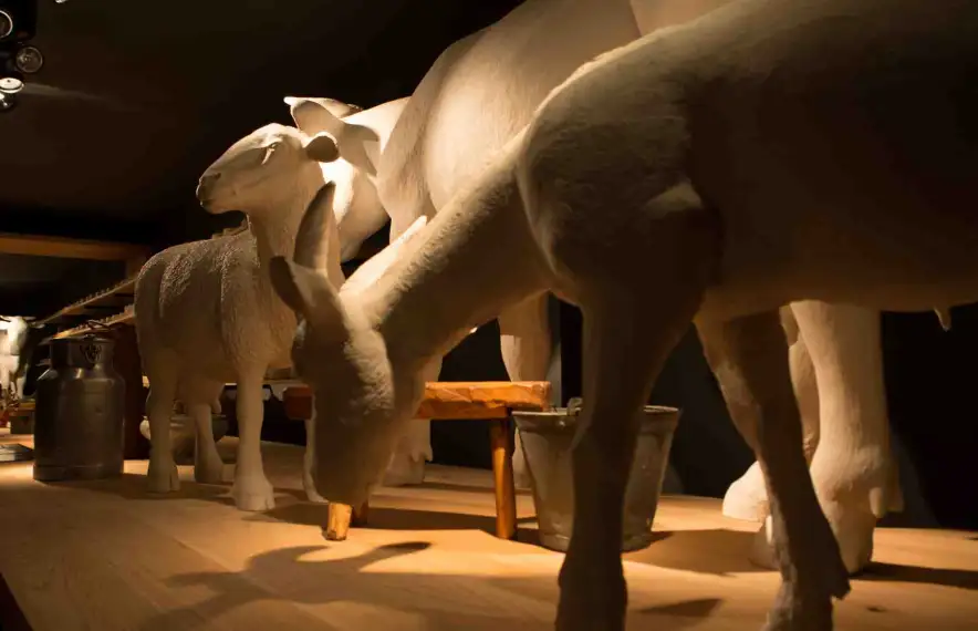 L'Espai Ermengol, que acaba de remodelar l'exposició.