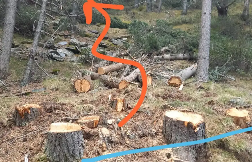 El camí de Prats (en blau) al trencant cap al roc de les Bruixes (en vermell), amb els arbres tallats i estintolats per permetre-hi passar la maquinària que construeix les pilones.