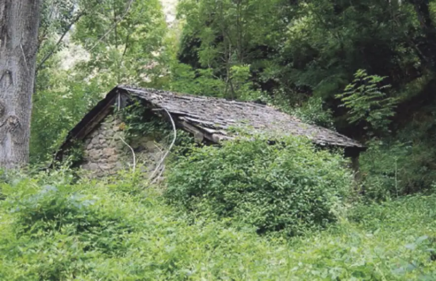 La mola de cal Martí, a Bixessarri, es va reconvertir en galliner i avui està quasi colgada per la vegetació.