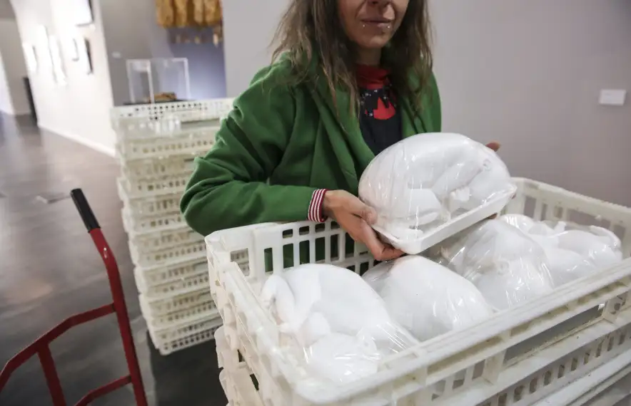 Ariza amb els fetus retracilats de la impactant sèrie ‘Racions no identificades (2000)’.