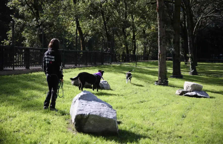 Els espais tenen roques, arbres, herba i fonts perquè els gossos gaudeixin.