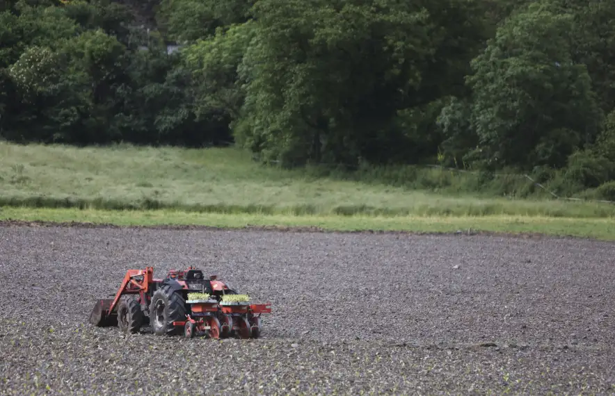 Aquell agricultor que faci més productes rebrà més dividends de la futura societat.