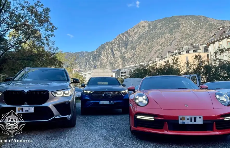 Durant l'operació s'han comissat tres delictes d'alta gamma.