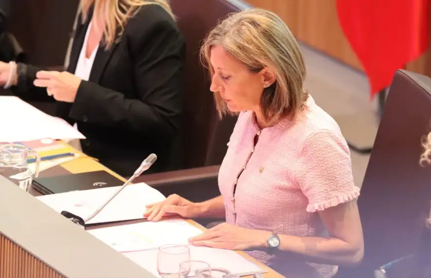 La consellera general de Concòrdia Maria Àngels Aché.