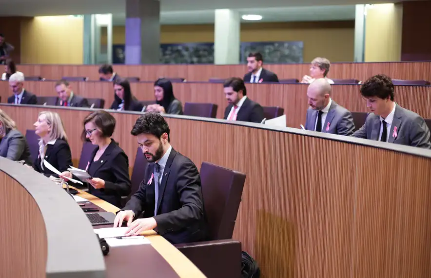 Els consellers de l'oposició al Consell General.