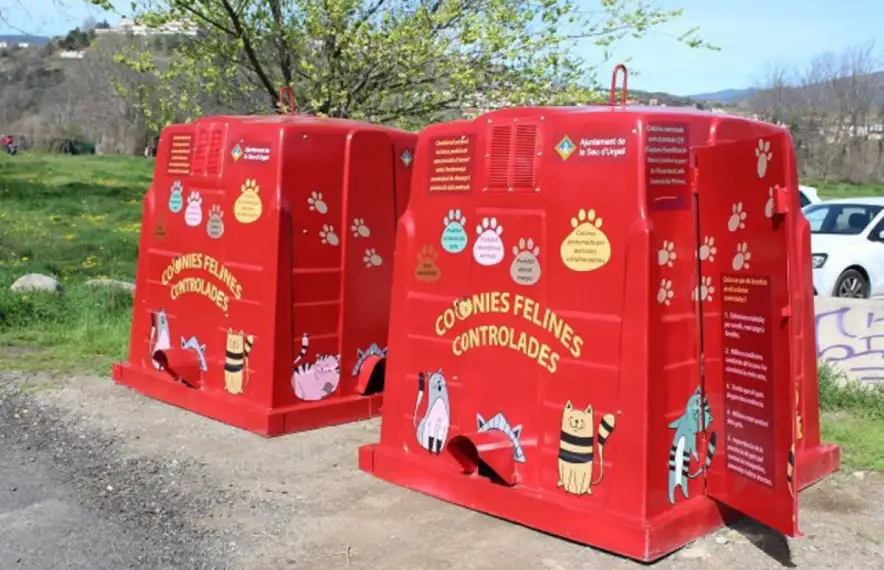 L’Ajuntament de la Seu d’Urgell va reconvertir contenidors en refugis per a gats.