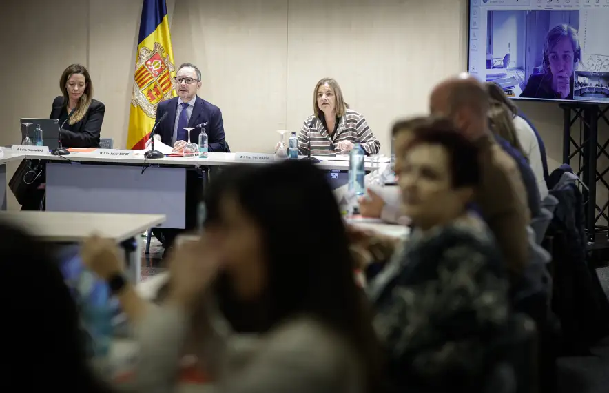 La reunió de la Conadis va tenir lloc ahir al matí.