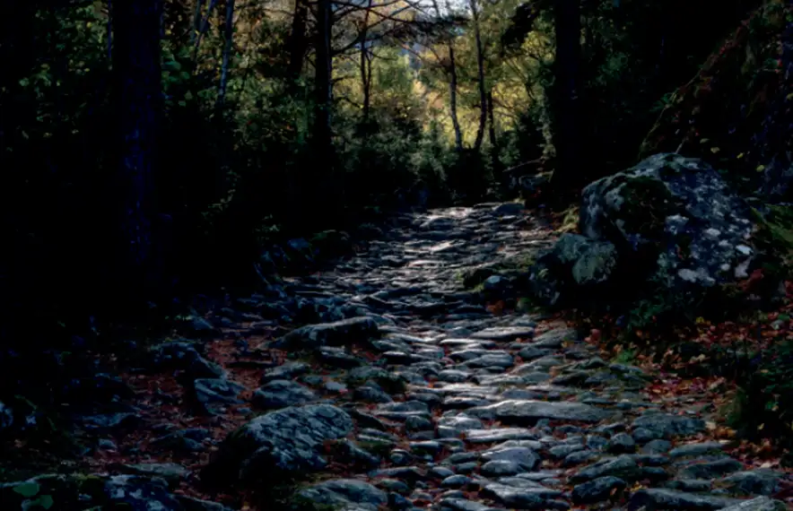 Cami empedrat de la vall del Madriu.