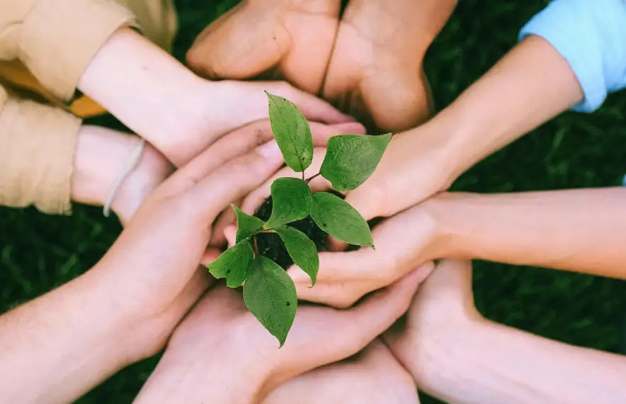 La jornada sobre el voluntariat tindrà lloc aquest dissabte 8 de novembre.