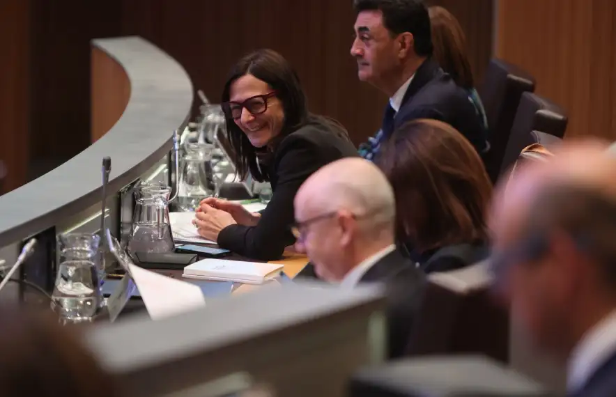 La ministra de Justícia i Interior, Ester Molné, al Consell General