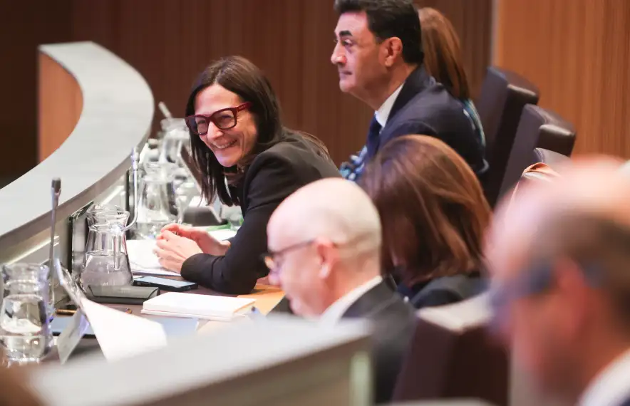 La ministra de Justícia i Interior, Ester Molné, al Consell General (Facundo Santana)