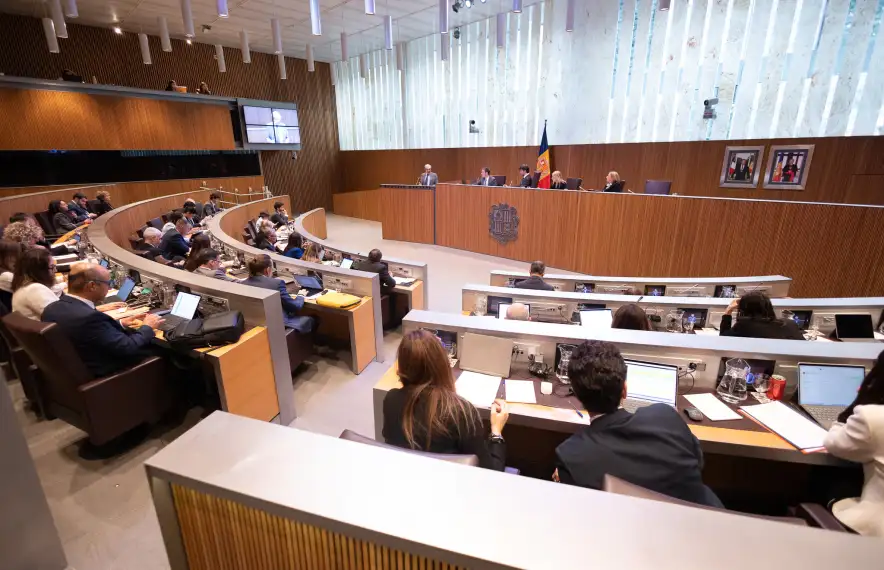 Un moment de la sessió del Consell General d’avui.