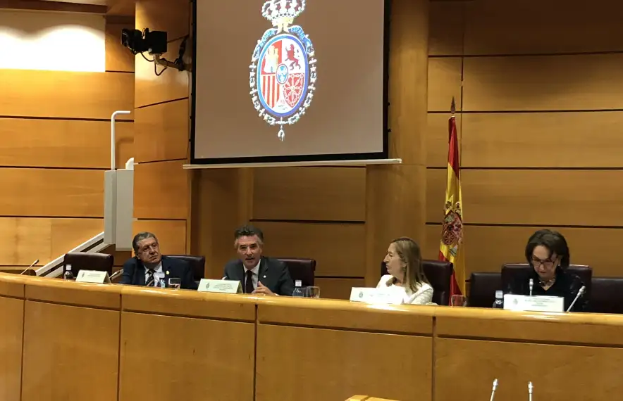 El síndic general, Vicenç Mateu, en un moment de la seva intervenció.