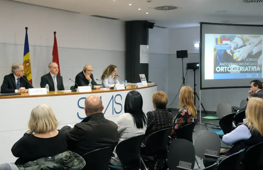 Un moment de la primera jornada de treball entre Andorra i Mònaco.