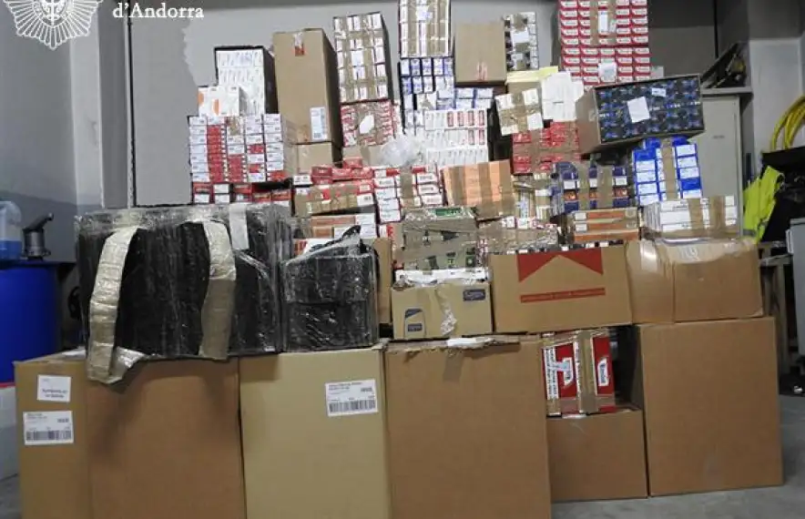 El material confiscat en l’‘operació Llobarro’ a finals del 2016.