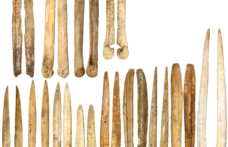 Punxons, agulles i espàtules neolítiques exhumades al jaciment lauredià de la Feixa del Moro.