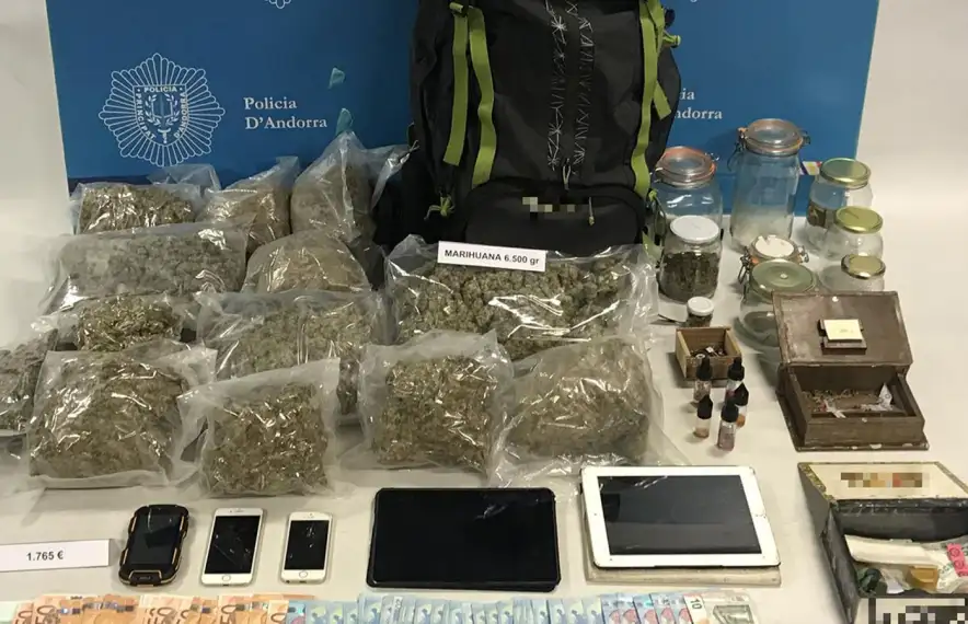 La droga confiscada en una operació policial.