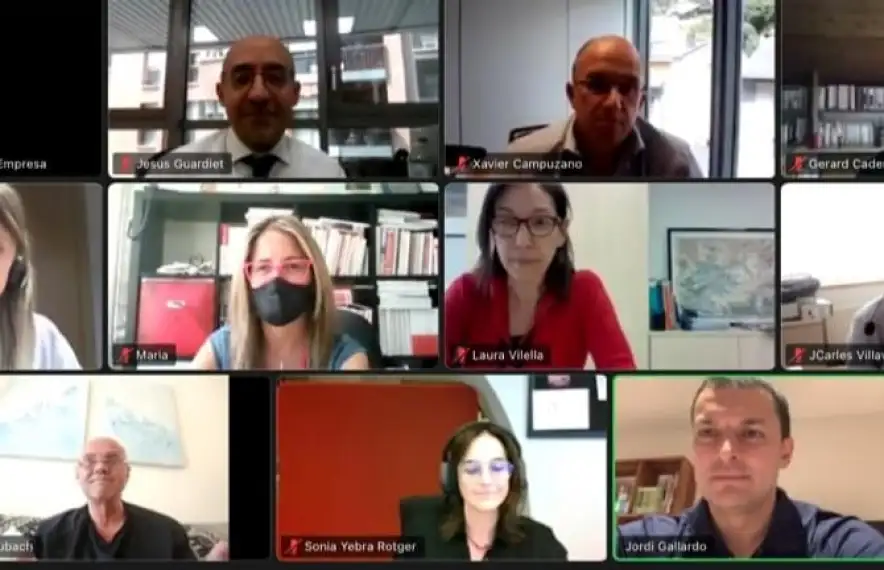 Un moment de la reunió telemàtica del Consell Econòmic i Social.