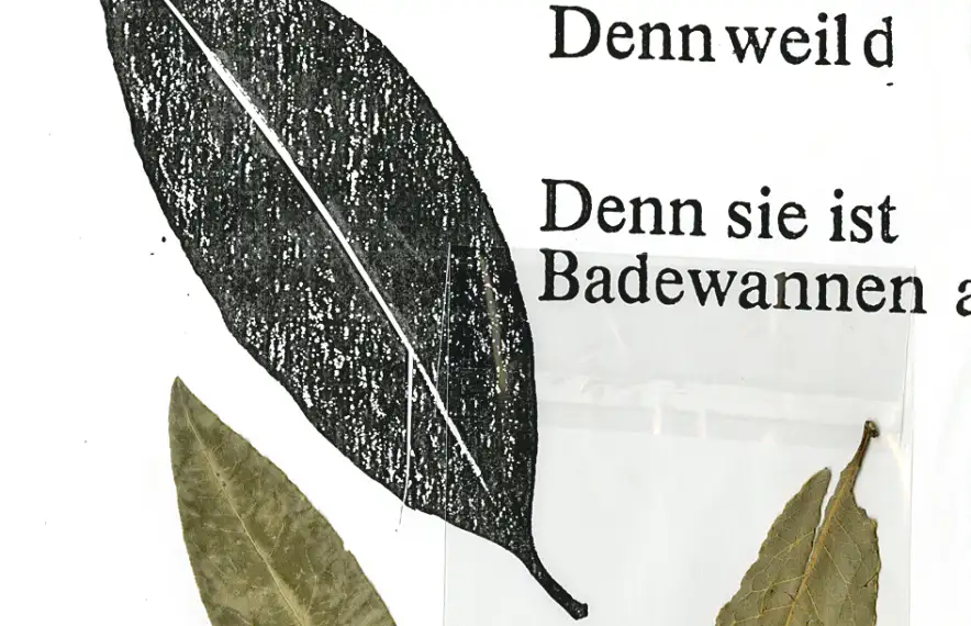 El dossier lauredià recuperat per Dilmé conserva les fulles de llorer en què es va inspirar.