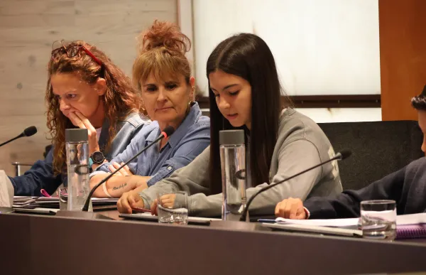 consell adolescents valls del norfd
