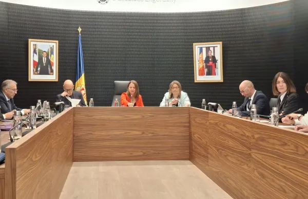 p. 15 sessió consell escaldes - agències