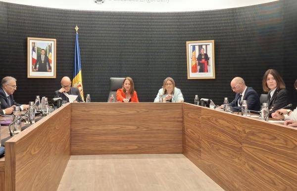 p. 15 sessió consell escaldes - agències