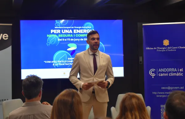 p. 10 david forne jornada energetica agencies