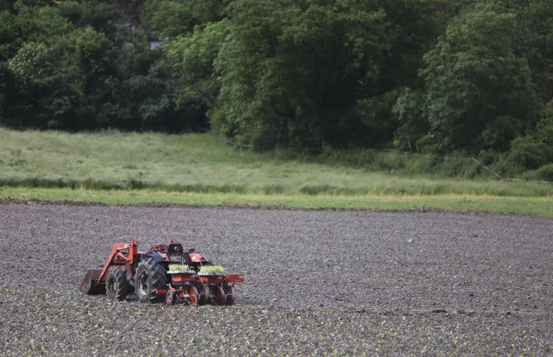 Un agricultor.