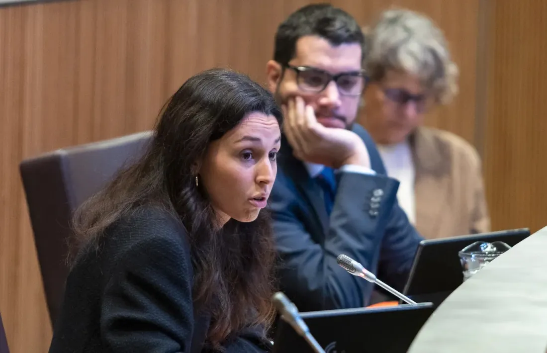 Laia Moliné intervé en un ple.