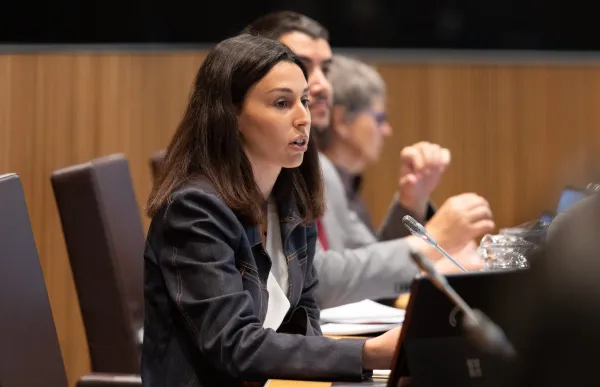 laia moline _consell general