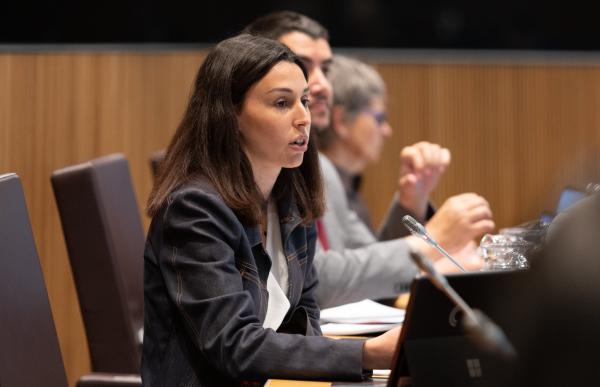 laia moline _consell general