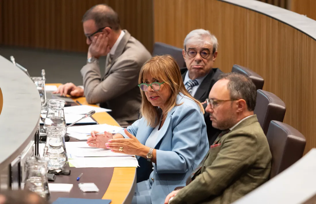 Marsol, entre Baró i Espot, intervé durant el ple del Consell General.