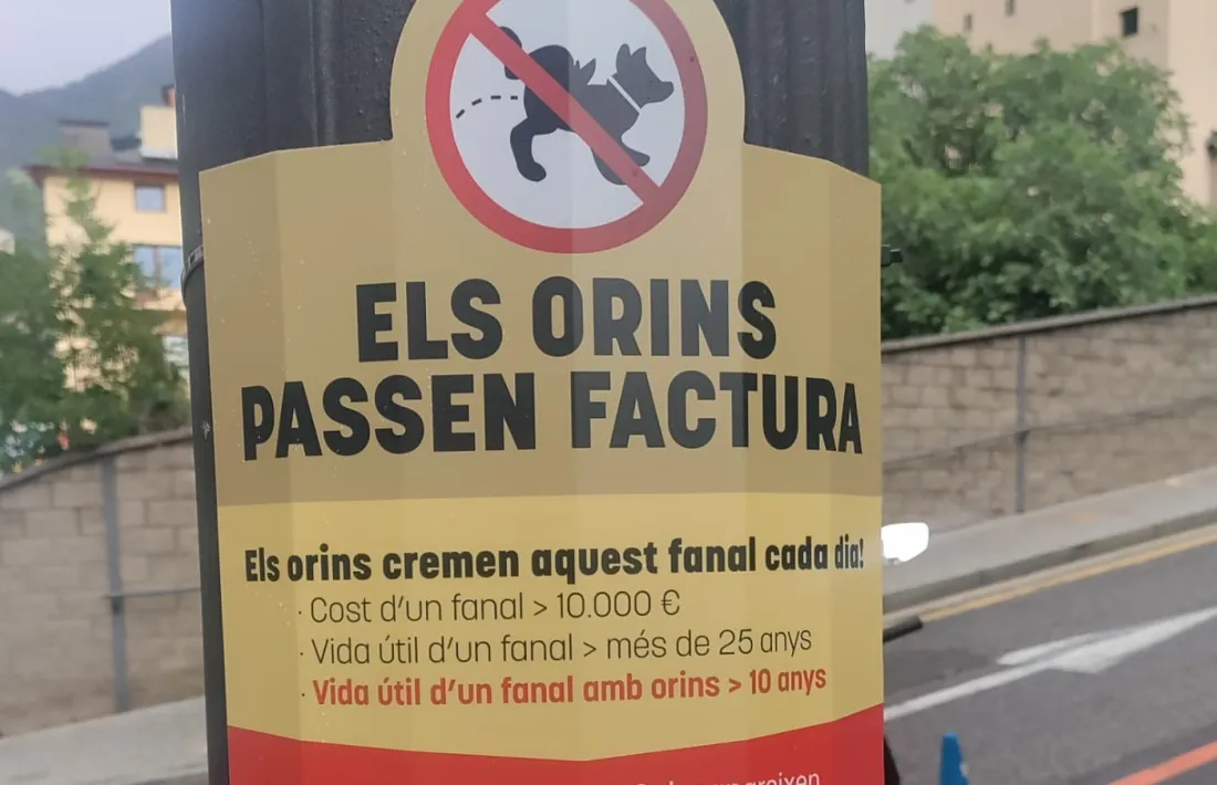 Cartell de la campanya en un fanal a l’avinguda Verge de Canòlich.