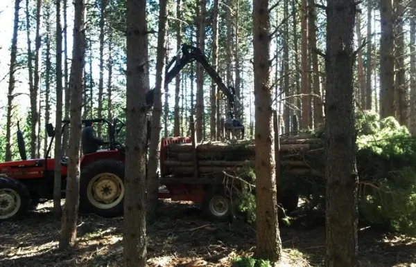 Treballs-forestal-@ComuEncamp-(1)-large