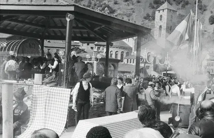 492-Fons-Alsina-Martí-5288_06