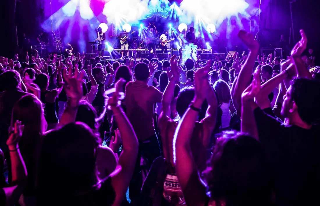 Públic en un concert.