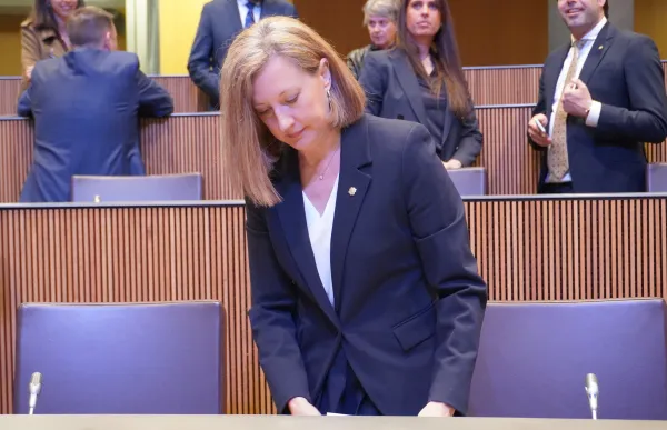 Maria Àngels Aché al Consell General (002)