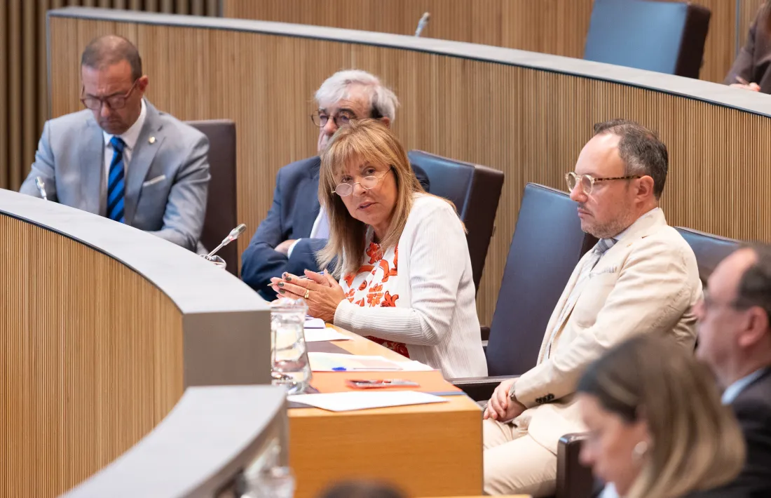La ministra Conxita Marsol en la sessió del Consell d'avui.