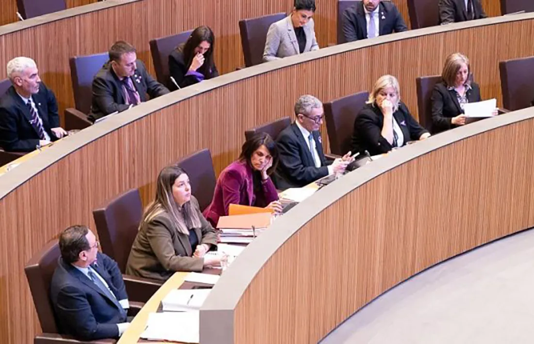 El grup parlamentari demòcrata en una sessió del Consell General