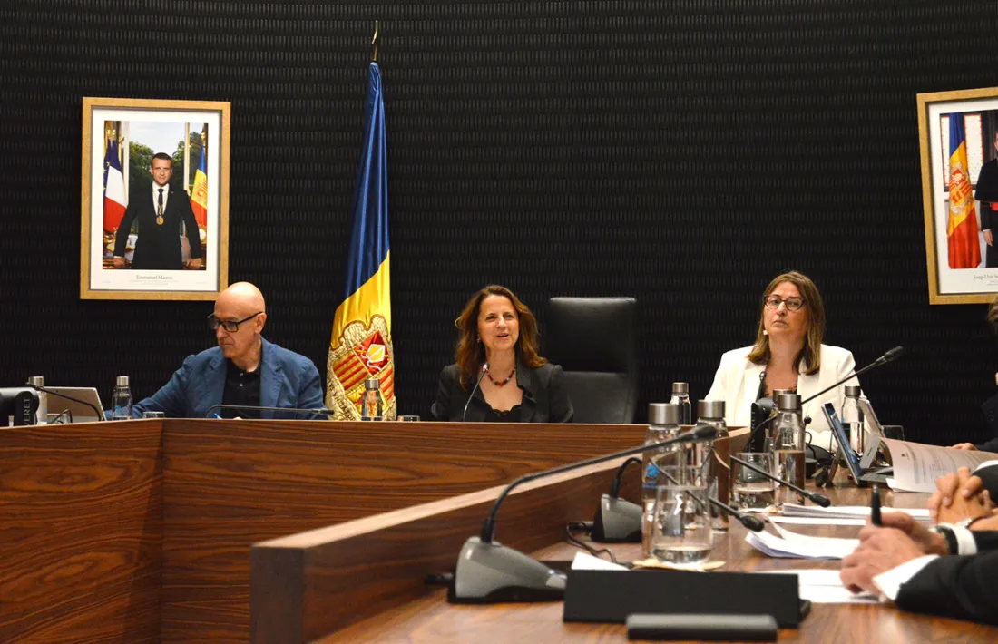 La cònsol major escaldenca, Rosa Gili, intervé durant la sessió de consell de comú d'aquesta tarda.