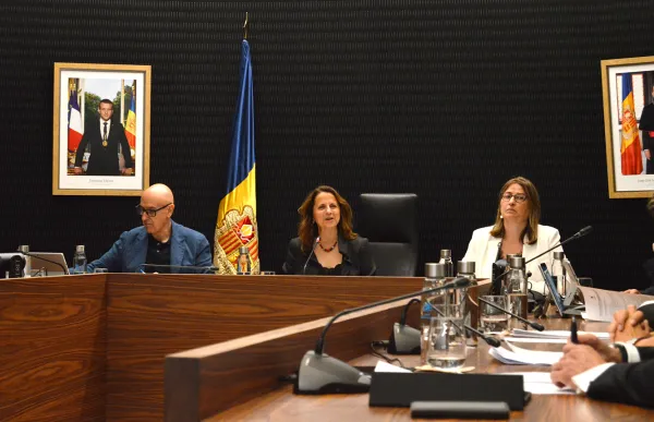 p. 04 gili consell comu escaldes agencies
