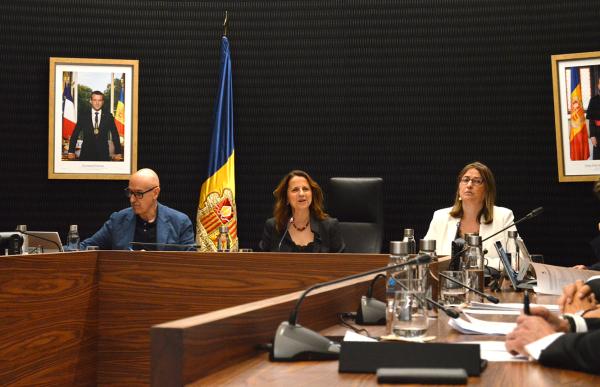 p. 04 gili consell comu escaldes agencies