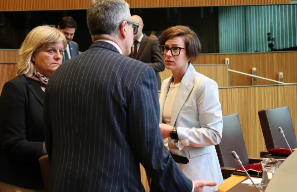 Núria Segués al Consell General (002)