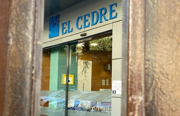 182797_181974_cedre