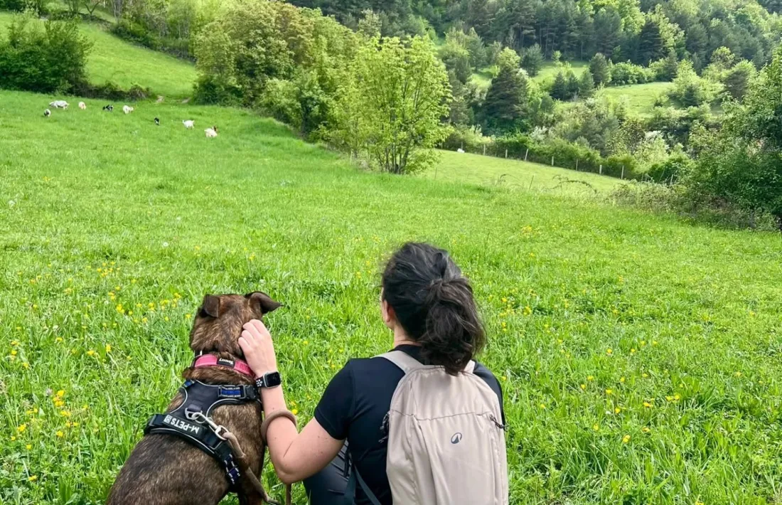 Una voluntària de GosSOS amb un dels animals.