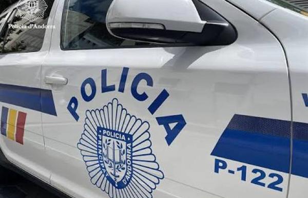 vehicle poli